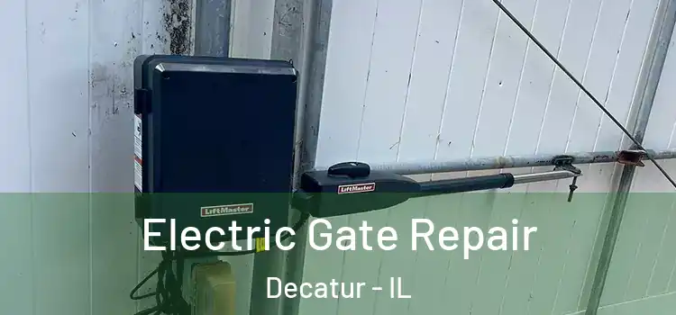  Electric Gate Repair Decatur - IL