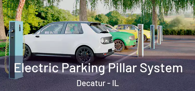  Electric Parking Pillar System Decatur - IL