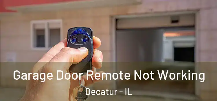  Garage Door Remote Not Working Decatur - IL